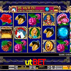 utbet Salvador - Bonus Stats